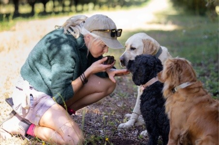 A person kneeling down with dogs.
