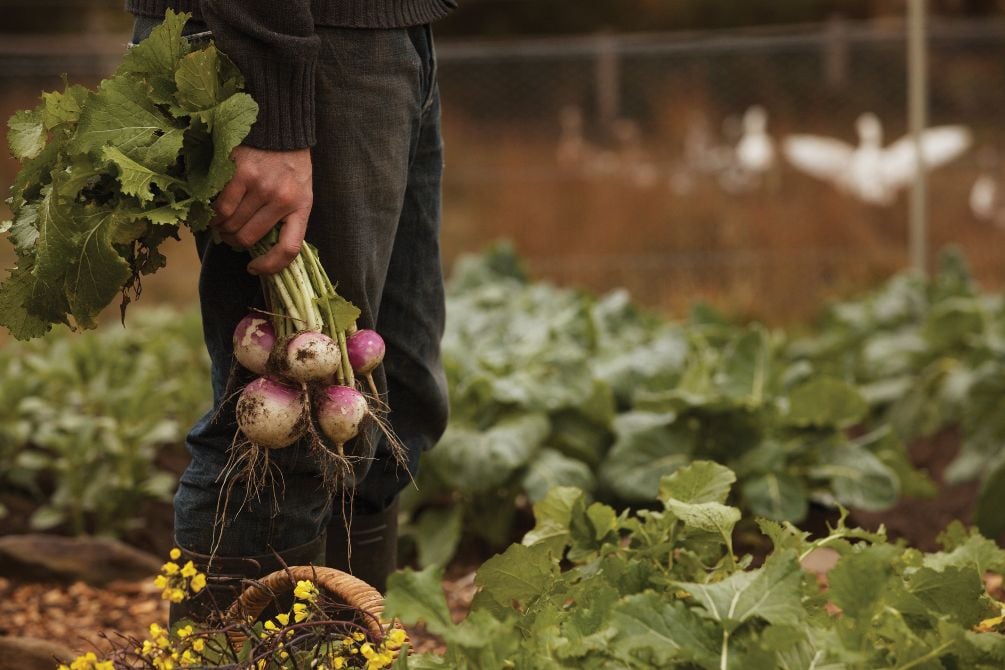 The Agrarian Kitchen