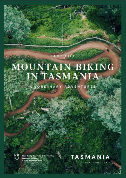 Thumbnail-Mountain-Biking-2020.jpg