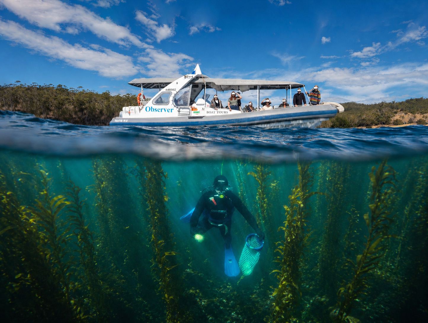 Diver among kelp below a boat of passengers in virtual reality headsets on a Tasmanian Wild Seafood Adventures cruise