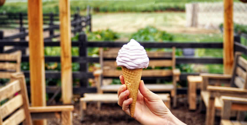 Person holding an ice-cream cone